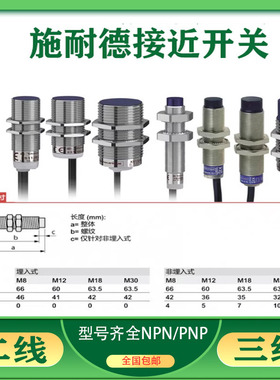 接近开关XS208BLNA2 XS12BLNAL2C XS218BLNAL2C XS230BLPAL2C 24V