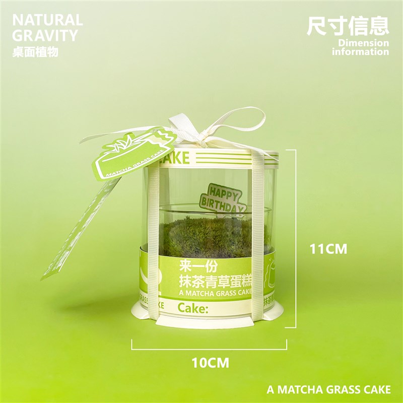 自然引力-青草蛋糕鲜活苔藓抹茶小蛋糕2寸盆栽生日礼物送人礼品