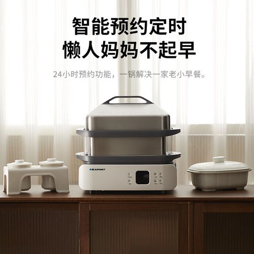 蓝宝不锈钢电蒸锅多功能家用分区控制蒸箱大容量蒸炖全自动一体锅