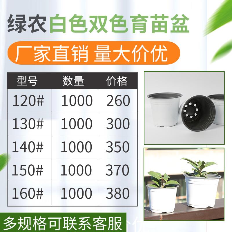 白色双色盆育苗盆加厚塑料大号一次性简易花盆营养钵育苗杯营养杯