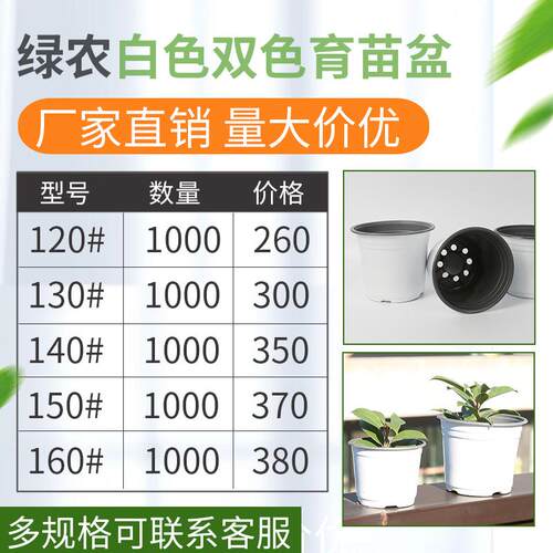 白色双色盆育苗盆加厚塑料大号一次性简易花盆营养钵育苗杯营养杯