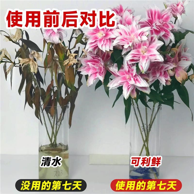 鲜花保鲜剂hvb鲜切花水培植物养花营养液加强型延长花期