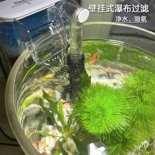 微景观生态瓶免换水自循环小鱼缸小型桌面办公桌水草造景生态缸