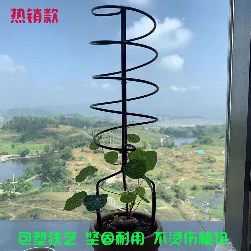 龟甲龙爬藤架山乌龟支架绿萝球兰植物架包塑铁艺螺旋式植物花架图片