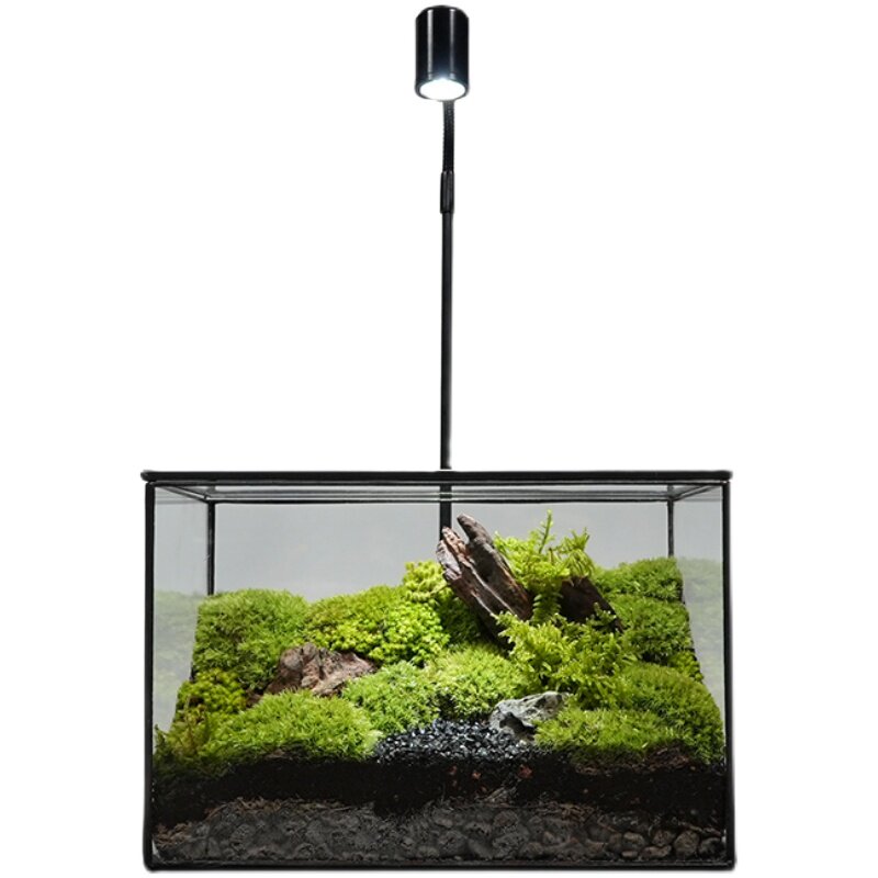 植觉 苔藓生态盒叁 苔藓微观世界玻璃创意植物造景景观送礼礼品
