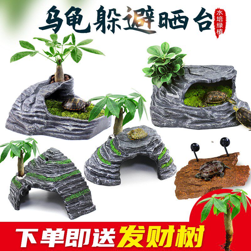 爬宠躲避屋静养躲避洞穴造景躲避窝蛇角蛙睫角守宫鬃狮乌龟晒背台
