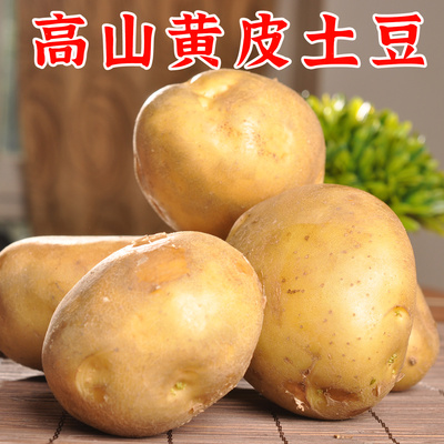 初柠柔云南新鲜黄皮黄心土豆