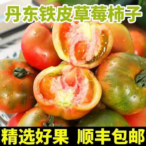 初柠柔丹东草莓柿子西红柿新鲜