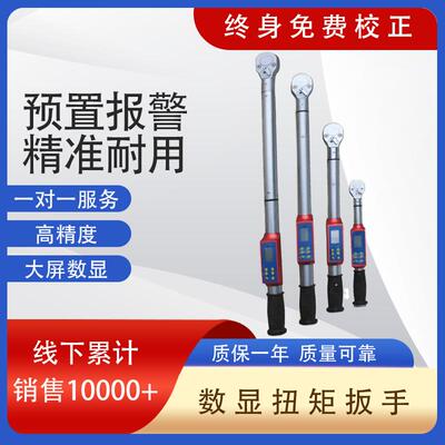 厂家现货供应LDS系列10-2000nm可调式力矩预紧数显扭矩扳手