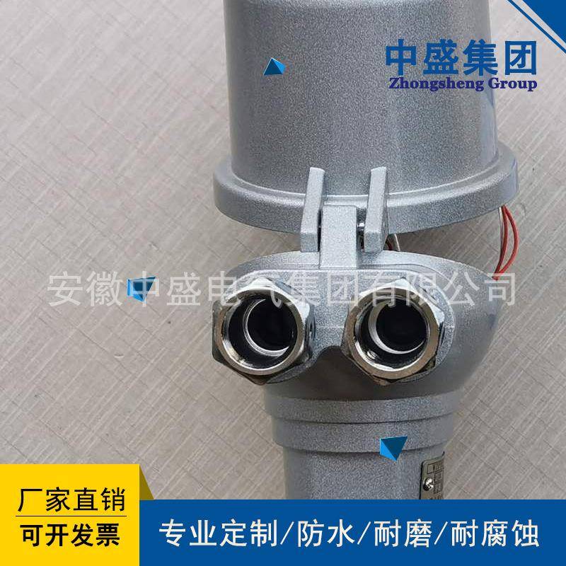 安徽中盛PT100热电阻WZPB2-230-50~150℃螺纹NPT3/4L=300/200