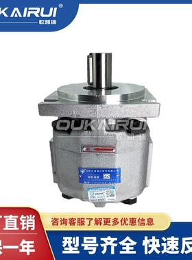 合肥长源液压HCHC齿轮泵CBKP-60-BFP定量齿轮泵液压油泵总成