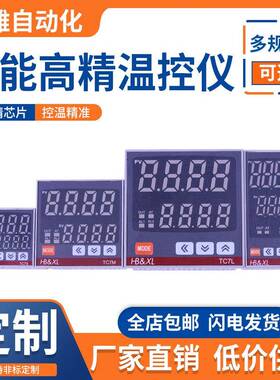 智能高精温控仪全自动温控仪表可调温度控制器REX温控仪