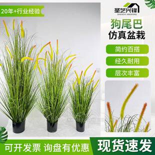 现货仿真狗尾巴草盆景盆栽装饰仿真绿植盆栽带花盆洋葱草仿真植物