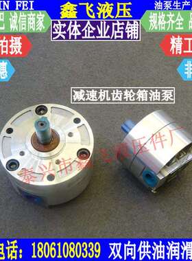 LB-BB16/BB20/BB25/BBS-16/20/25摆线齿轮泵齿轮箱油泵减速机泵JZ