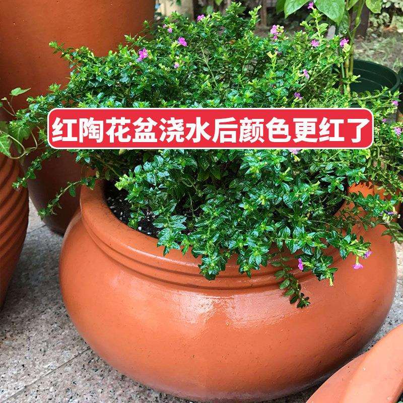 红陶粗陶户外特大号庭院花园青山盆别墅种树复古陶罐陶土花盆陶瓷