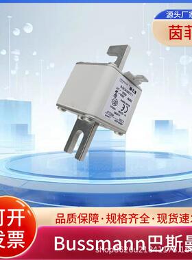 熔断器170M4064 170M4065 170M4066 170M4067 170M4068 170M4069