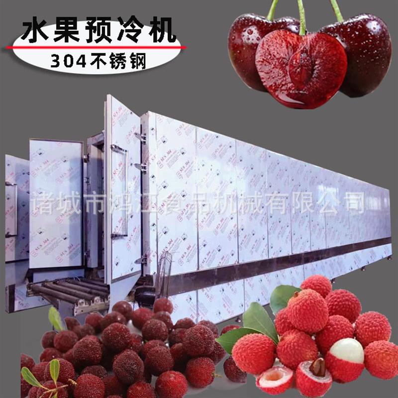 水果预冷机连续式 户外用水果降温保鲜设备 隧道式水果降温冷却线