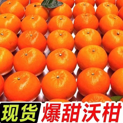 广西武鸣沃柑新鲜水果当季