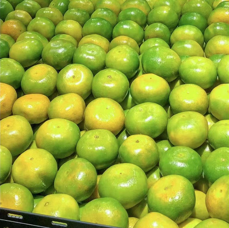 云南蜜桔橘子新鲜水果当季