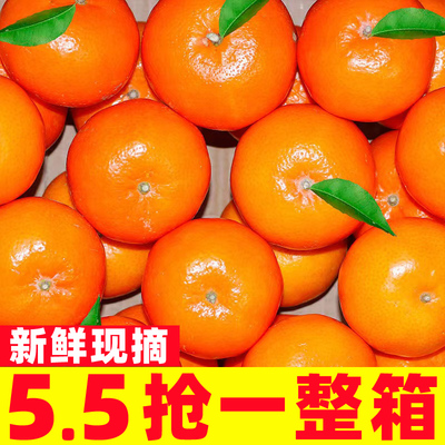 广西武鸣沃柑橘子新鲜水果