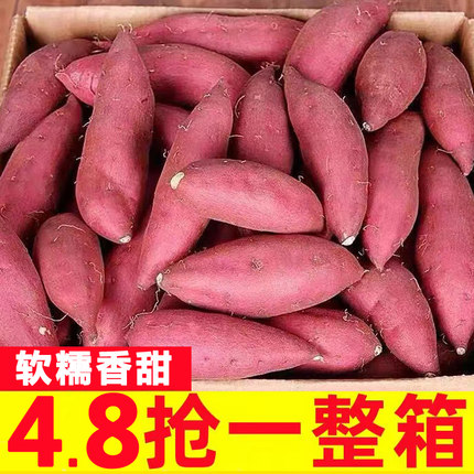新鲜蜜薯9斤板栗红薯沙地糖心地瓜小香薯西瓜红烟薯25号番薯香薯