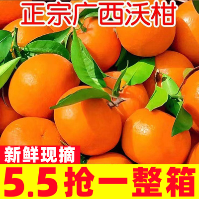 广西武鸣沃柑新鲜水果当季