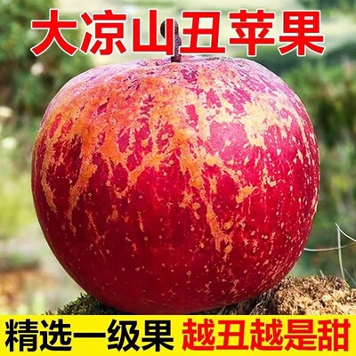 大凉山丑苹果冰糖心苹果新鲜