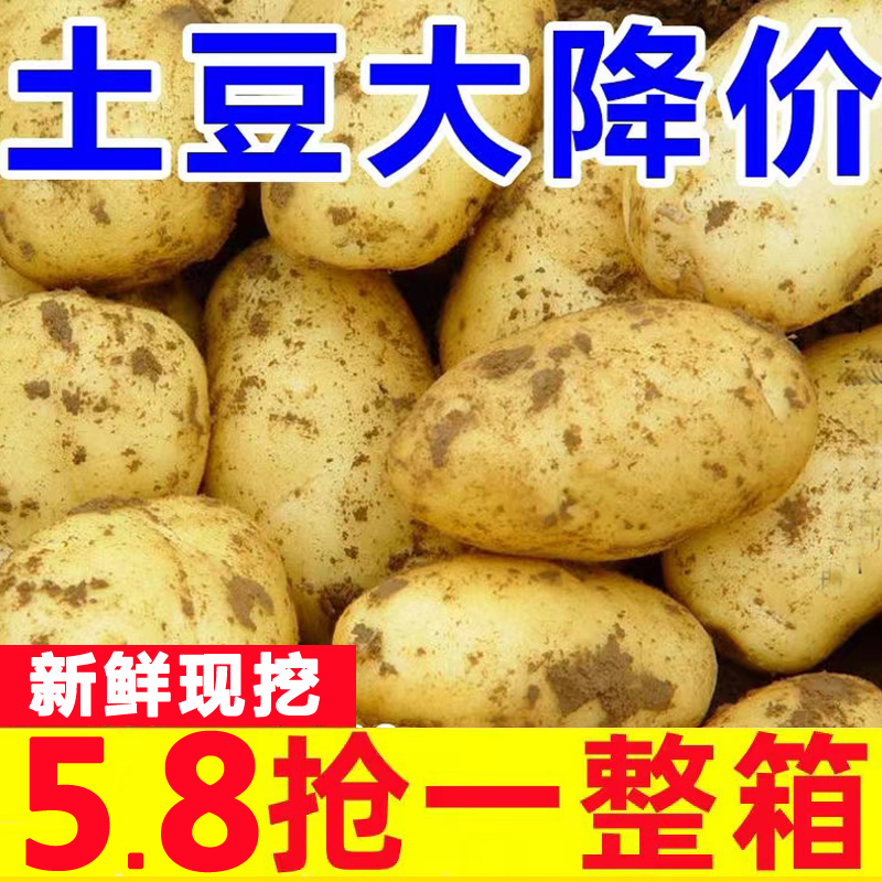 恩施新鲜红皮黄心大土豆包邮