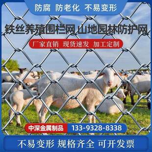 防锈铁丝围栏网热镀锌养殖护栏网养鸡圈牛羊体育场球场防护围栏网