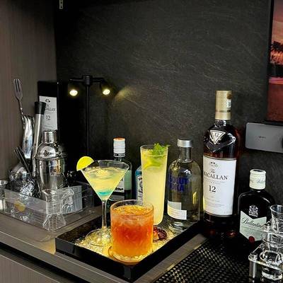 不锈钢调酒器套装入门雪克杯手摇壶摇杯家用鸡尾酒调酒工具收纳架