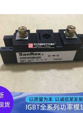 DSR200BA65 DSR200BA650 全新铜