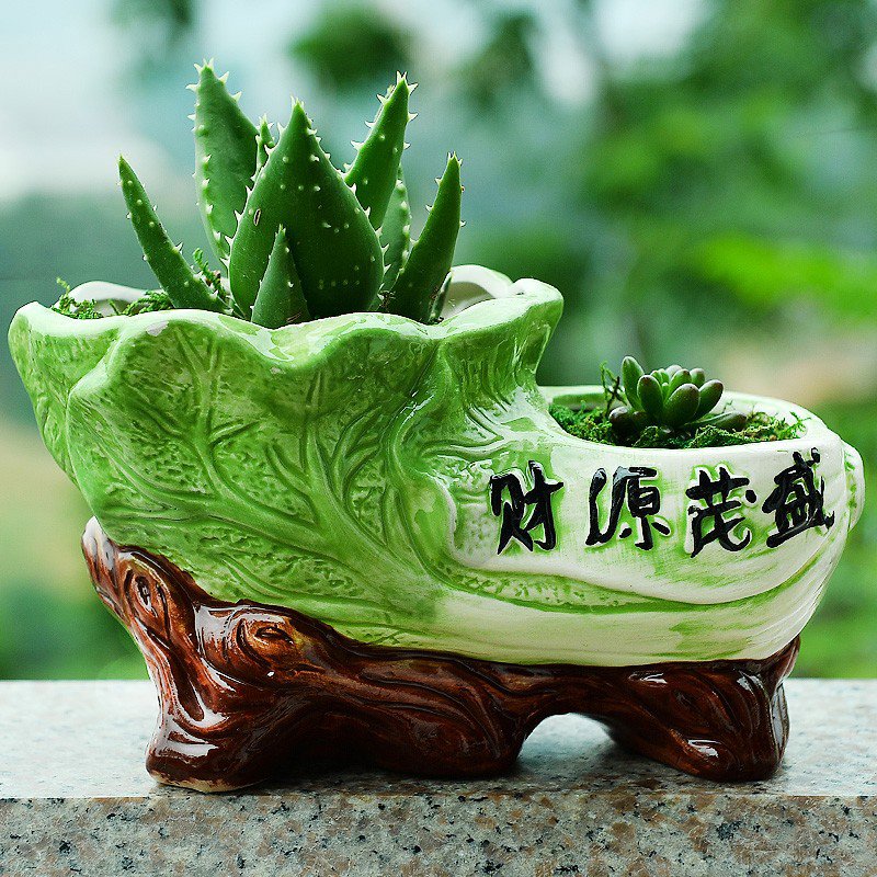 彩绘创意连体双口陶瓷花盆发财树富贵竹绿萝花多肉室内大号陶