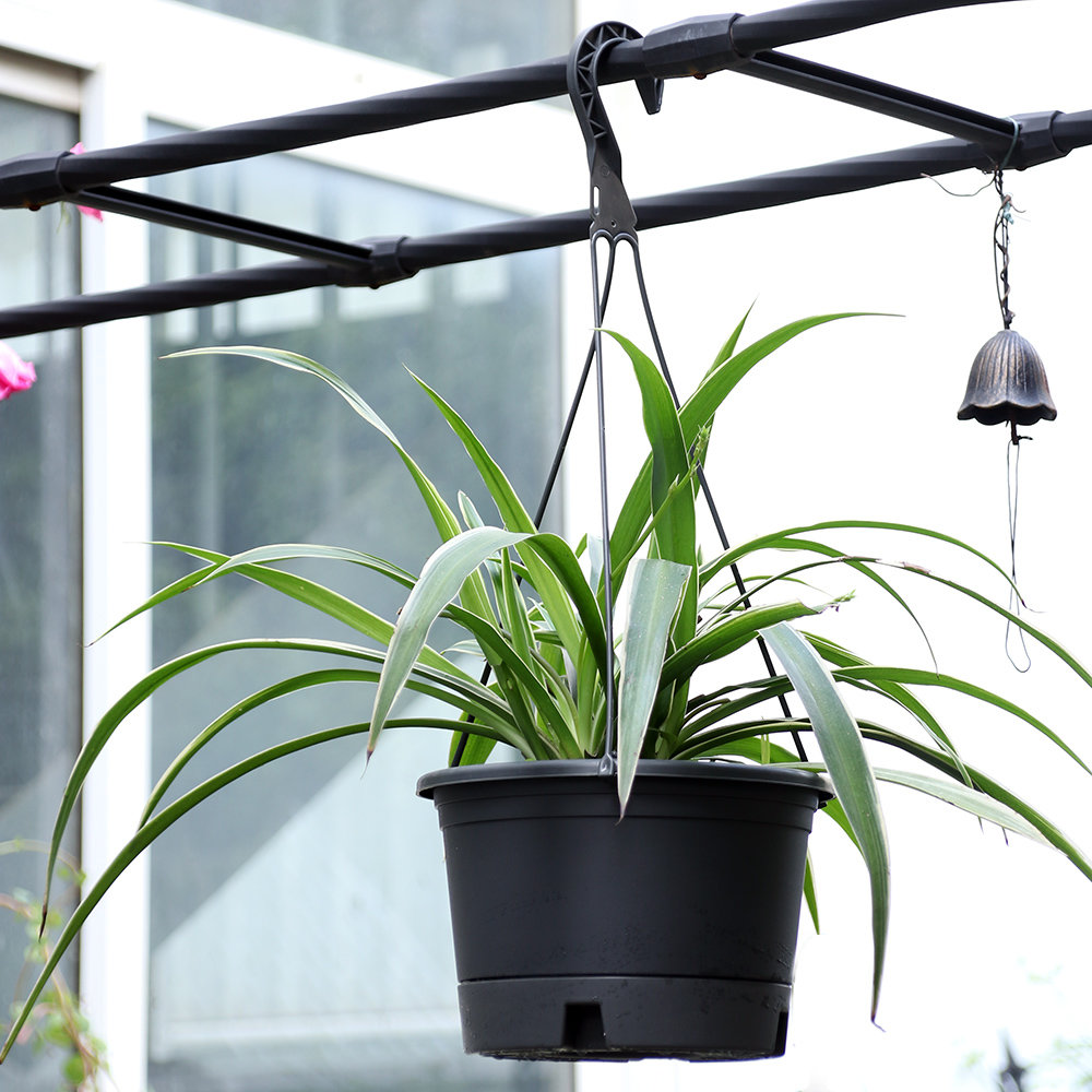 加仑吊兰盆悬挂式圆形塑料吊篮绿萝盆栽花盆大号家用绿植垂吊盆