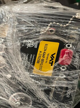 VAT蝶阀61234-KAAP-BEH1 实物图 议价