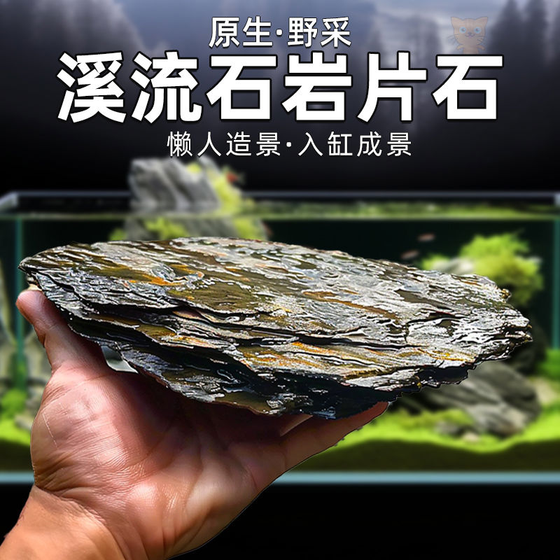 原生态溪流片岩DIY造景水陆缸鱼宠虾龟晒台养鱼缸古法沉木搭