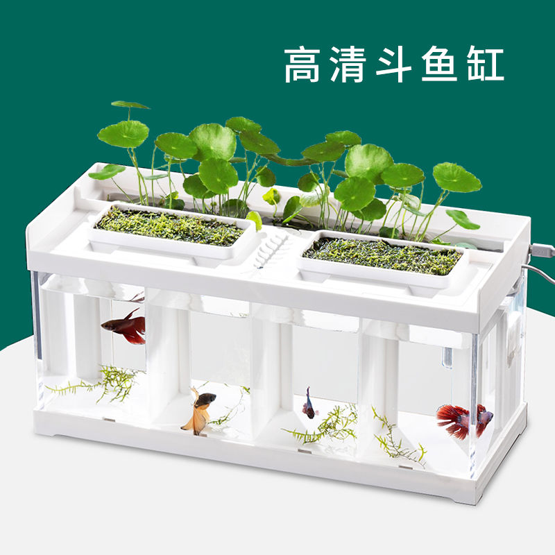 牛牛斗鱼缸亚克力造景生态桌面灯隔离过滤免换水加热繁殖专用