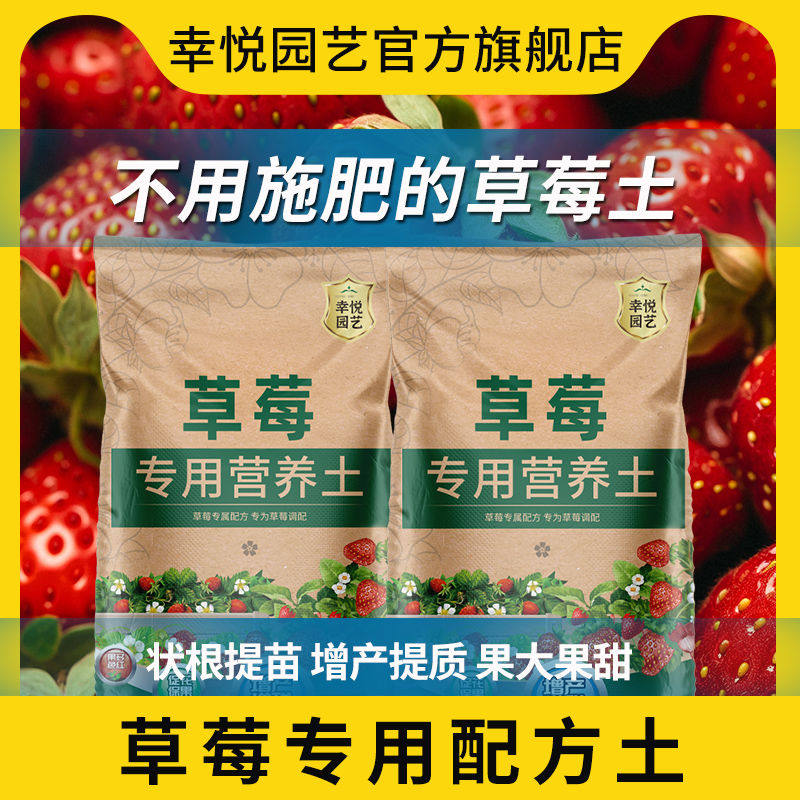 草莓专用营养土有机土壤盆栽泥土种植土种草莓的土肥料专用肥