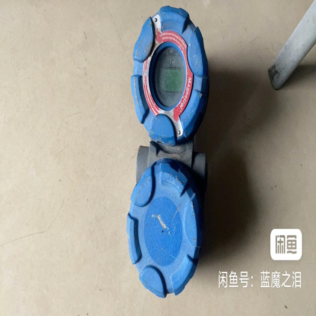 【议价】传感器美国麦格纳丘MAGNETROL