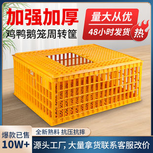 鸡笼周转箱家用大号加厚防摔养殖运输塑料鸡鸭笼兔笼