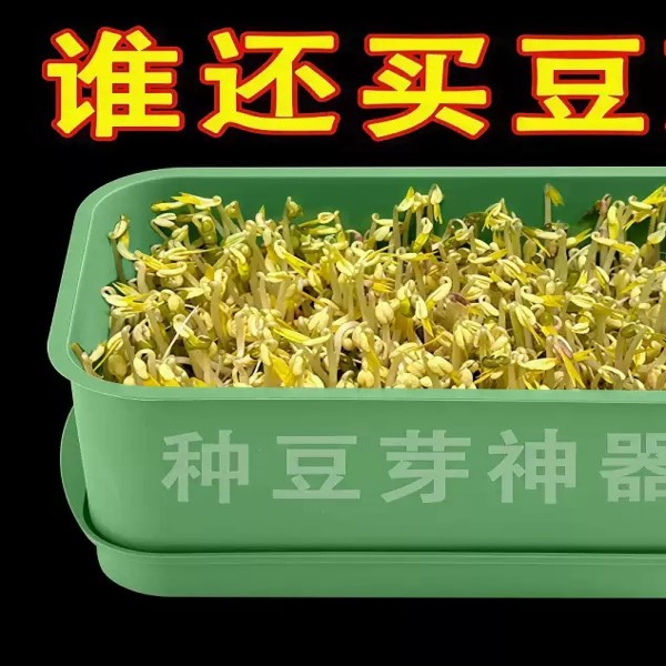 育苗盘种植发芽盆大容量家用豆芽机发豆芽专用盆神器生黄绿豆芽罐