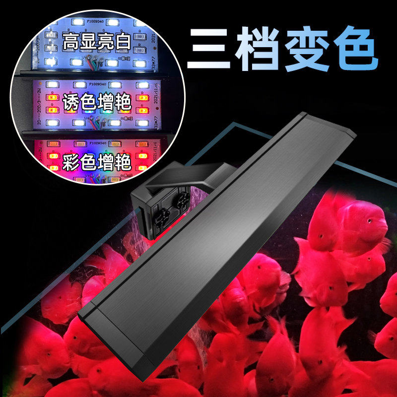 LED夹灯鱼缸草缸灯迷你小夹灯节能防水照明灯水族箱水草发色艳