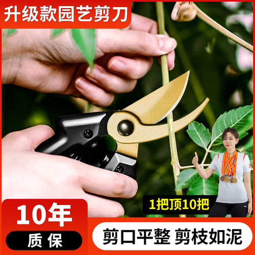 园艺剪刀园林花艺修剪树枝剪刀果树采摘专用剪刀强力剪子工具