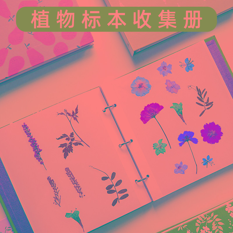 植物标本收集册树叶干花压花收纳册活页卡册粘贴式diy相册创意