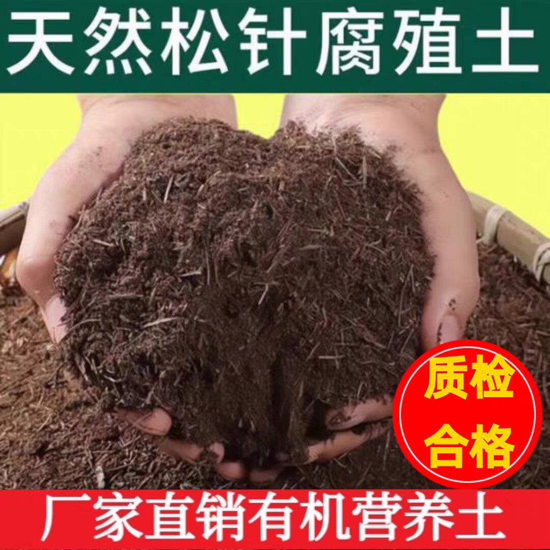 腐熟松针腐殖土腐叶土家用有机营养土种菜盆栽通用型专用养花土壤