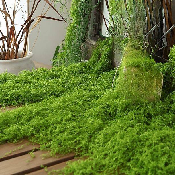 仿真丛林苔藓假青苔仿生草皮造景丝线仿真植被假草皮草坪花盆
