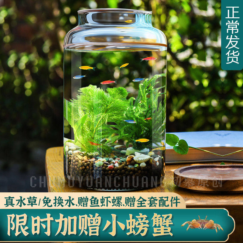 生态瓶水草小鱼缸玻璃办公桌面微景观生日情侣礼物DIY作业免