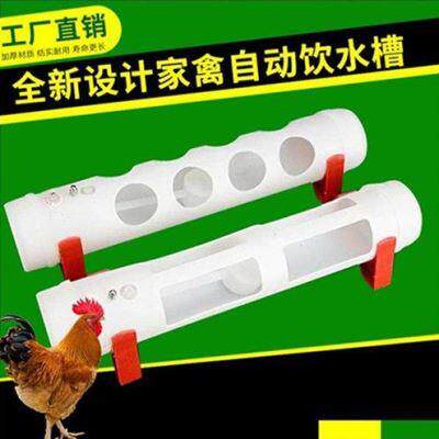鸡饮水器自动喂水新款鸡鸭鹅养鸡自动饮水槽鸡的鸡用家禽喂鸡喝水