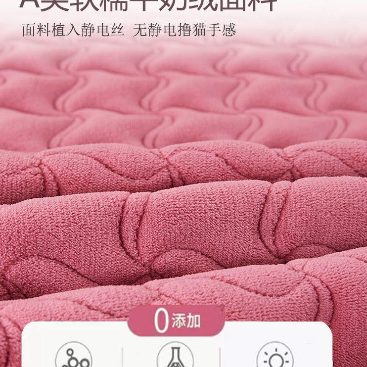 抗菌防螨牛奶法兰绒床垫褥子垫被冬季毛毯子垫子铺床毛绒学生宿舍