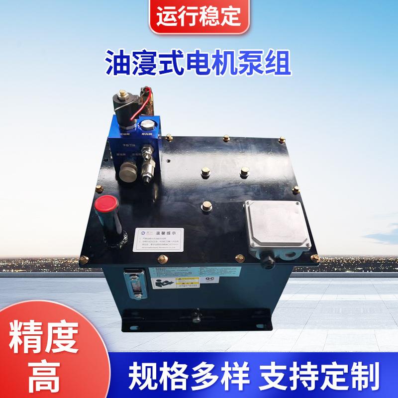 厂家供应油寖式电机泵组检测用液压泵站家用电梯液压系统