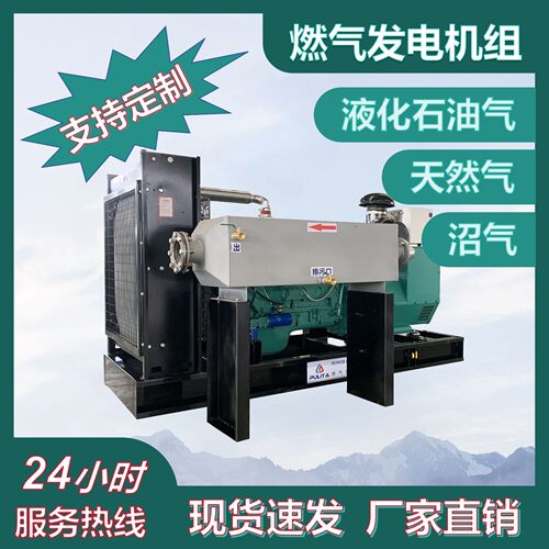 天燃气发电机组 养殖场沼气天然气发电机组220V 3kW 100千瓦